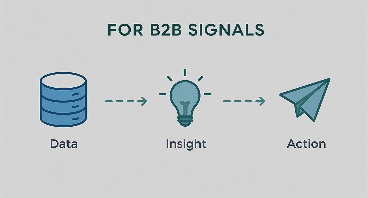 Workflow diagram showing how a B2B sales intelligence platform transforms raw signals into actionable sales plays