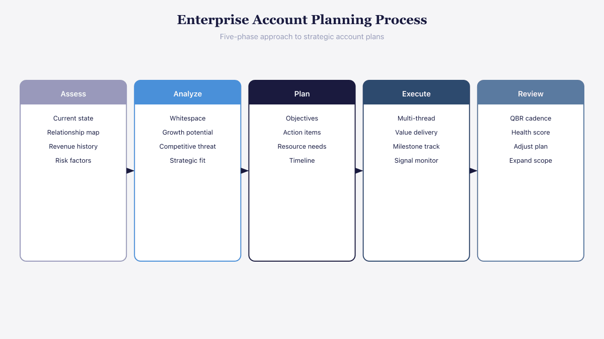 Five-phase enterprise account planning process: assess, analyze, plan, execute, review