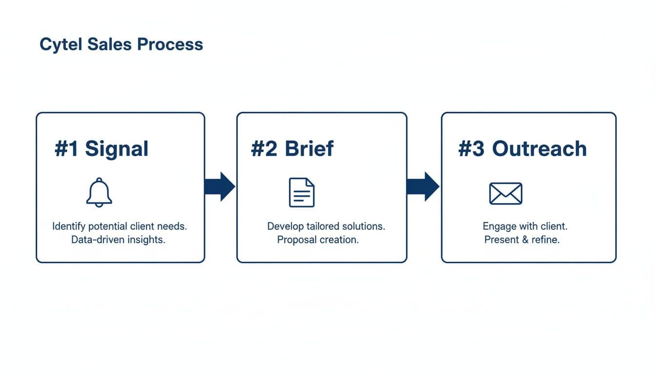 A three-step Cytel sales process diagram, outlining signal, brief, and outreach phases with descriptions.