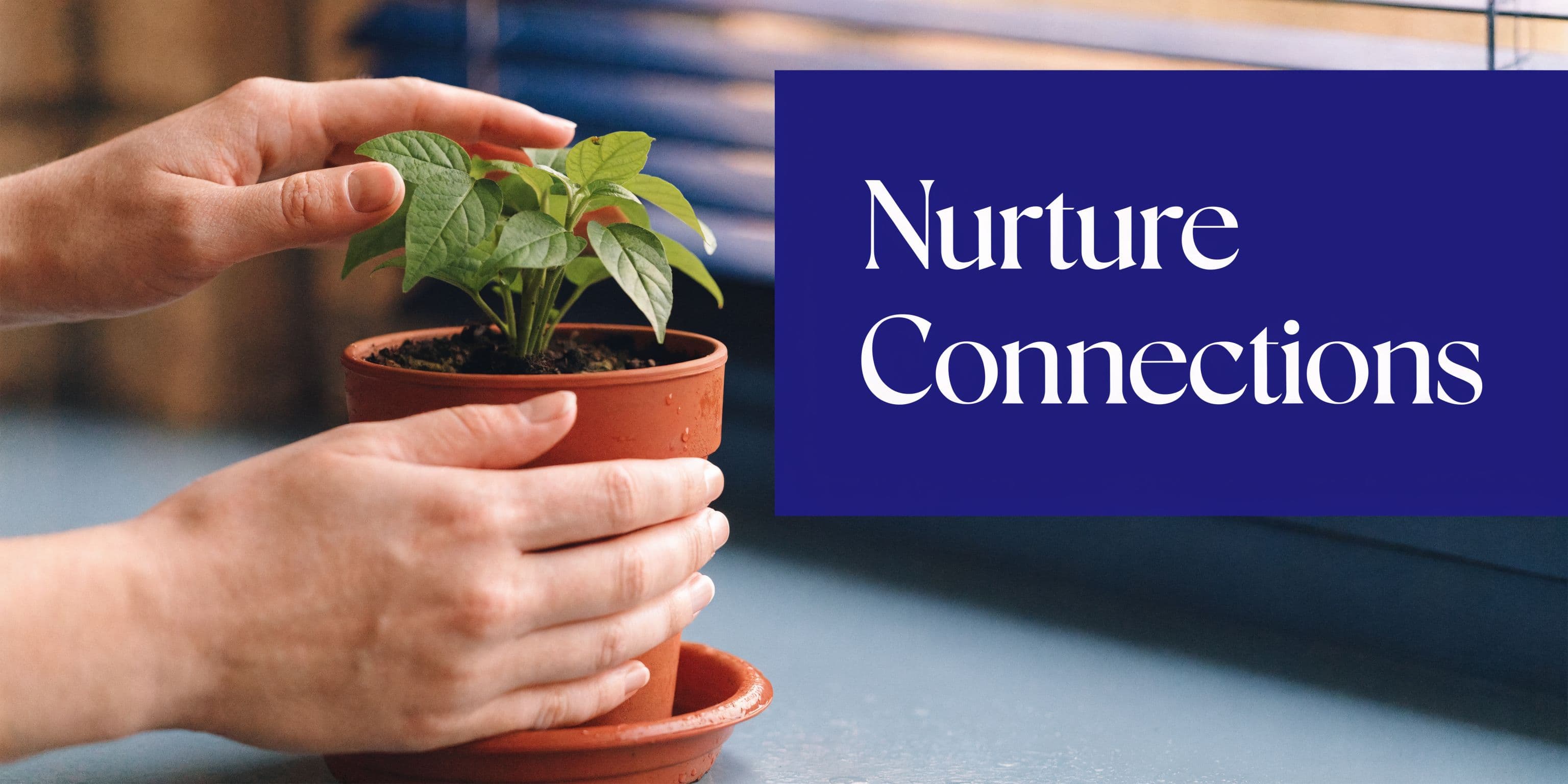 A person holding a terracotta pot containing a small green plant near a blue window blind.