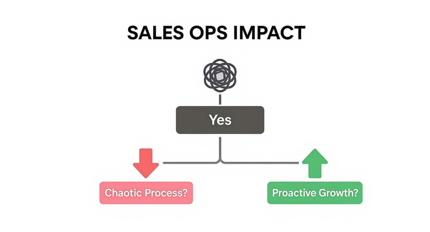 Flowchart depicting Sales Ops impact, presenting a choice between chaotic processes and proactive growth.